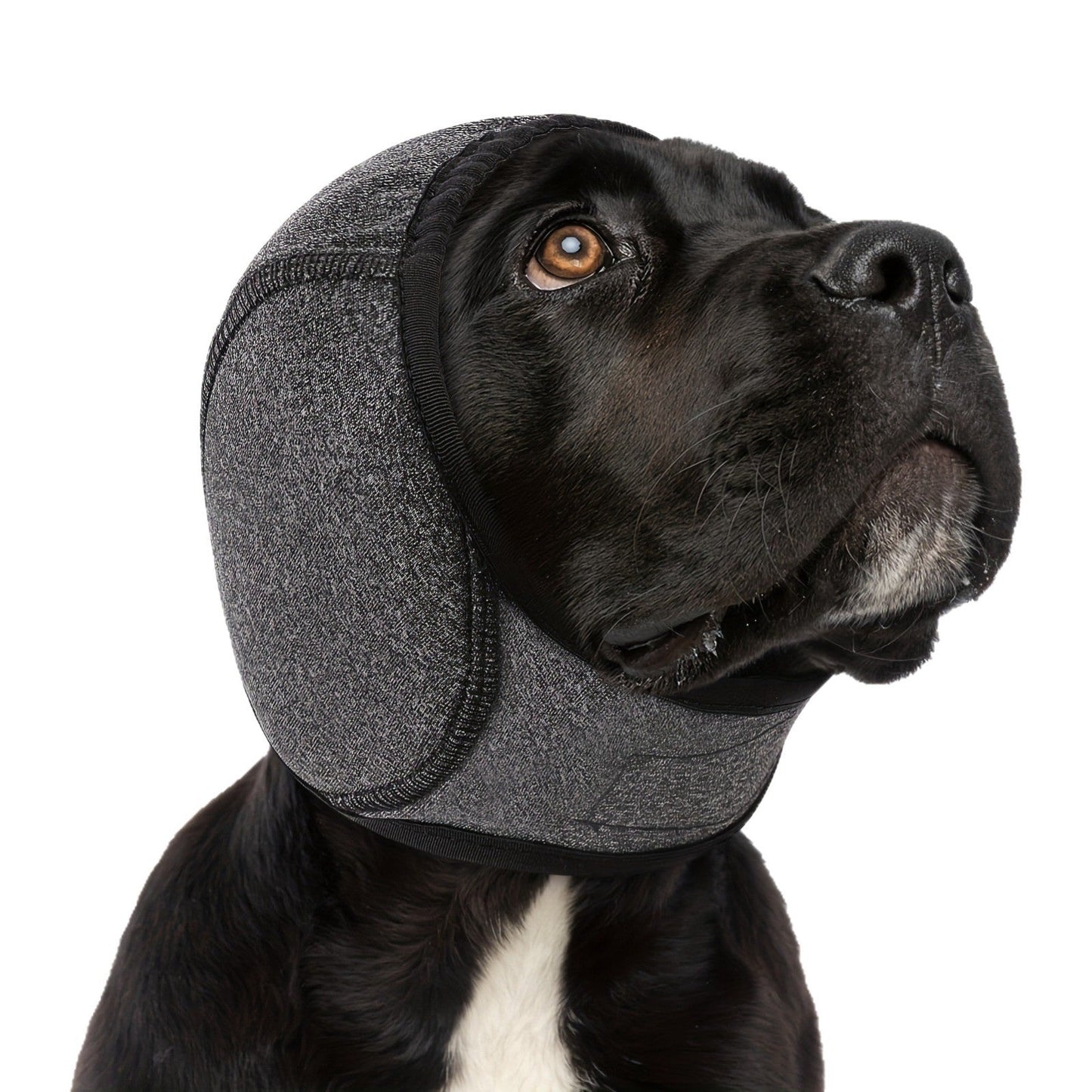 Dog Calming Hoodie Ear Wraps — Waterproof Swim Cap & Noise Cancelling Ear Muffs